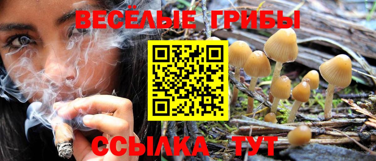 Галлюциногенные грибы ЛСД Тимашёвск