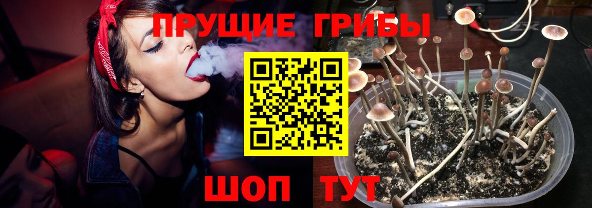 Тимашёвск  Галлюциногенные грибы ЛСД  Вход с VPN 